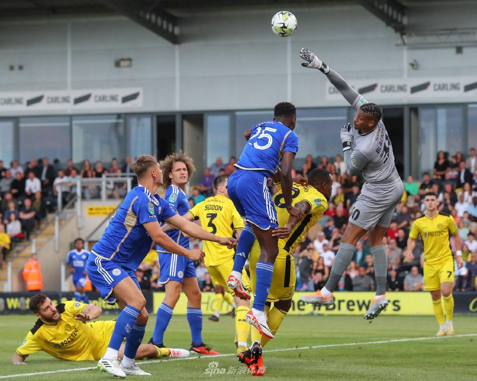 扬继续扮演 扬继续扮演